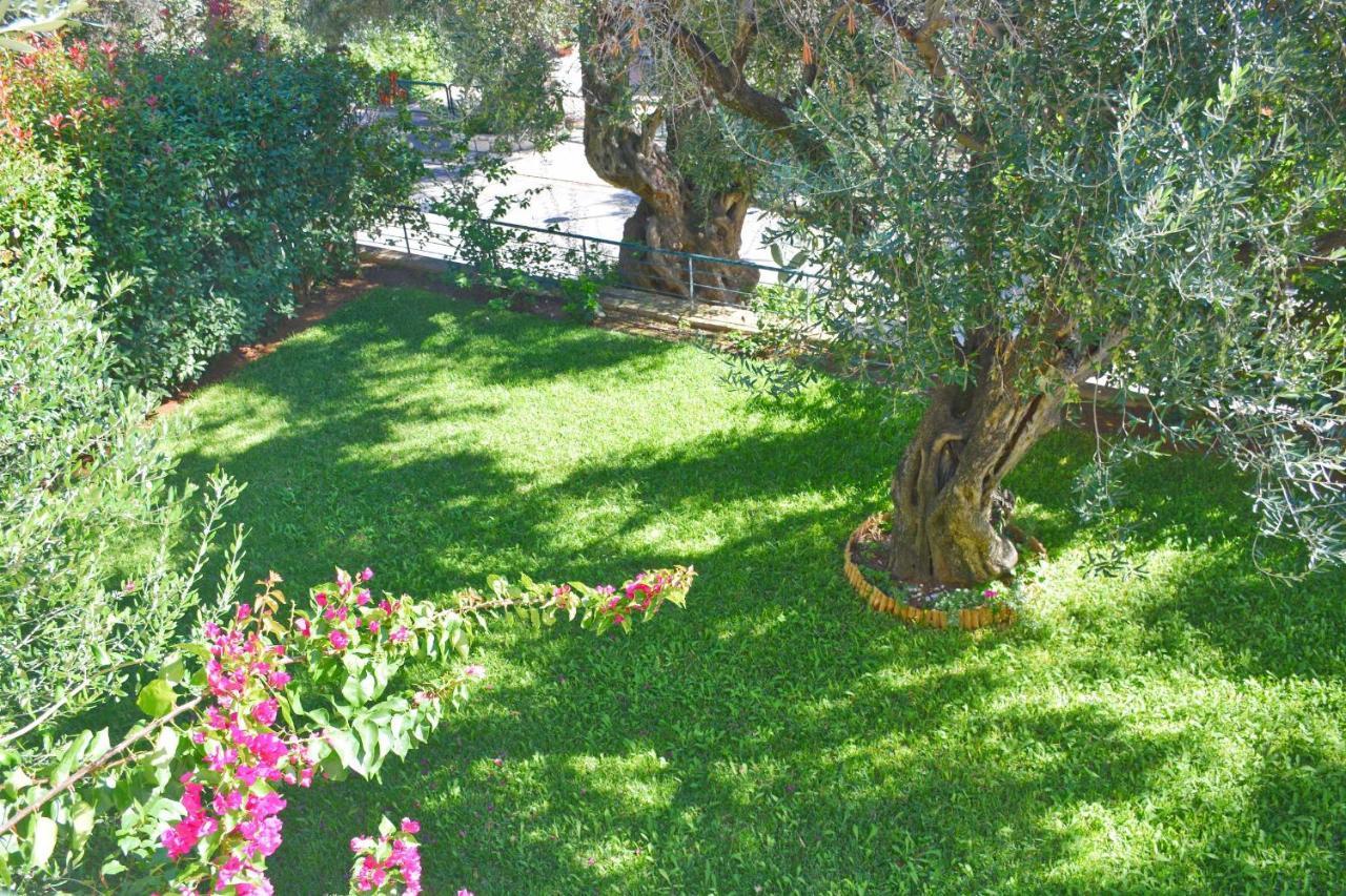 Pebbles And Sea At Barbati With Shared Pool Διαμέρισμα Εξωτερικό φωτογραφία